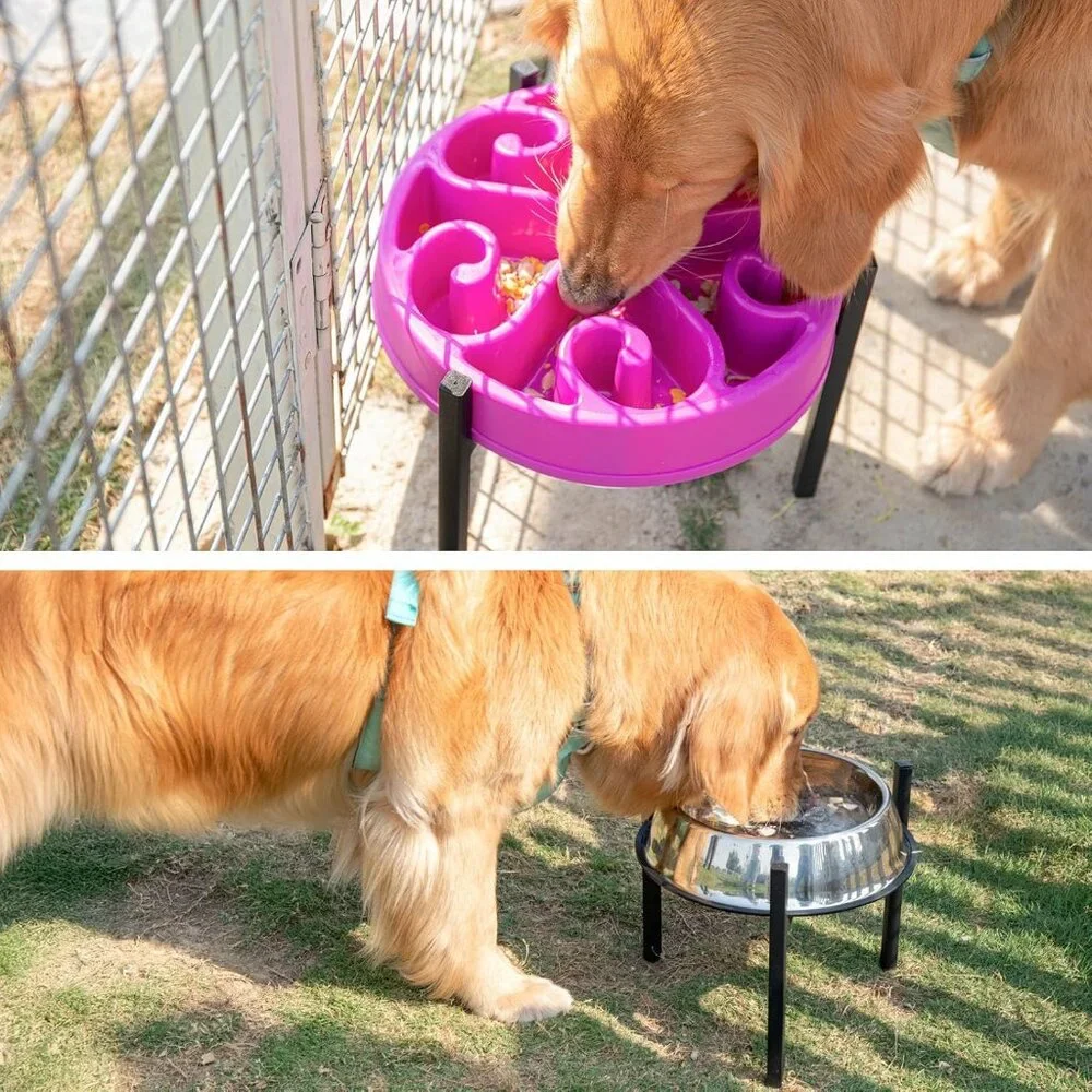 LOOBANI Dog Bowl Stand for Slow Feeders
